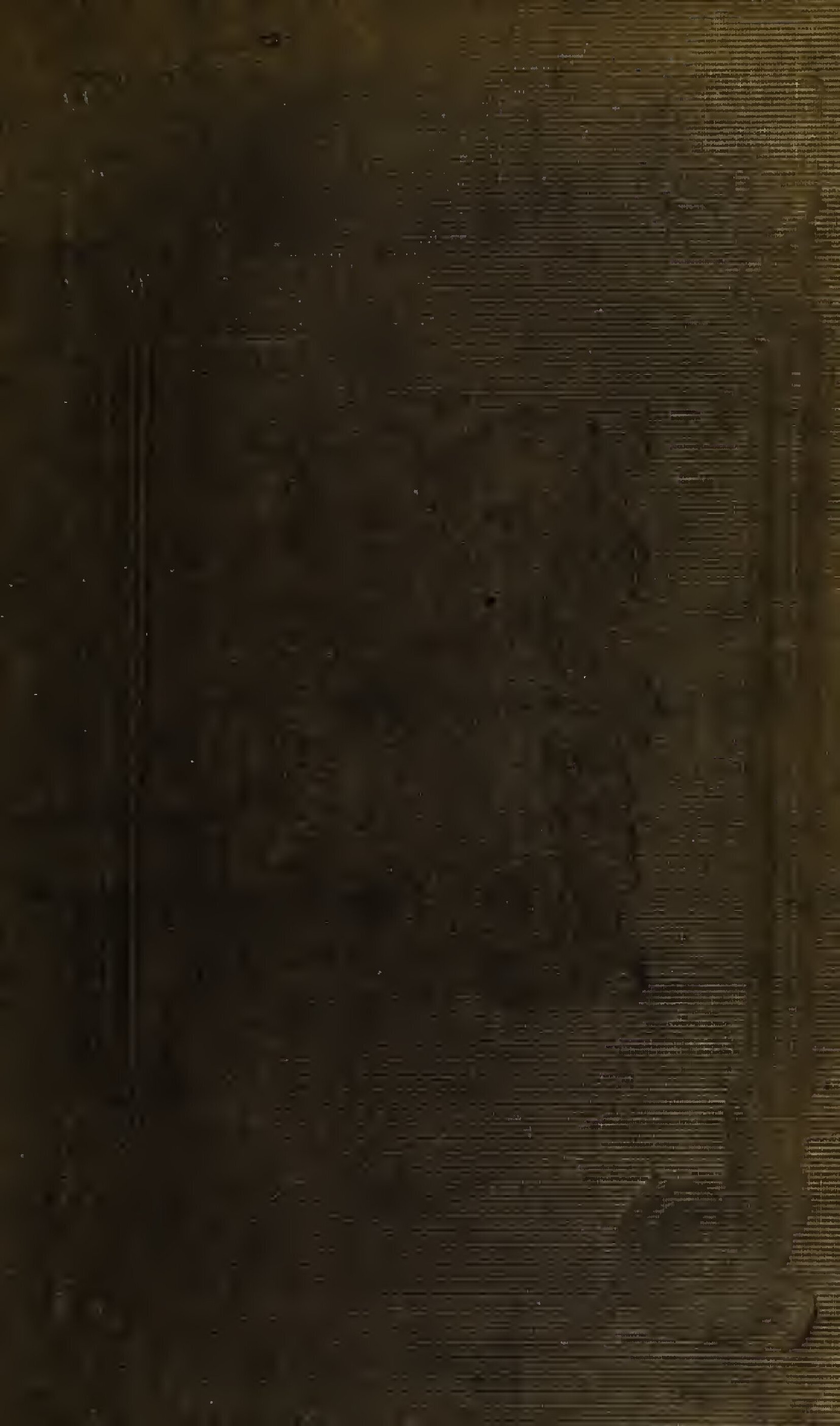 Cover of GRAMMAR OF THE AMHARIC LANGUAGE Original